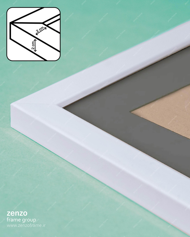 قاب عکس پاسپارتو طوسی